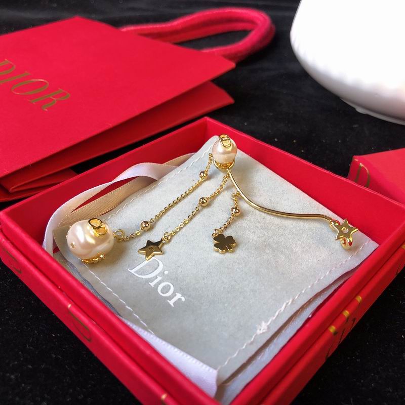 Dior Earring 03lyr172